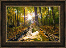 Load image into Gallery viewer, Plate 4 - Suddenly a Light Descended!
