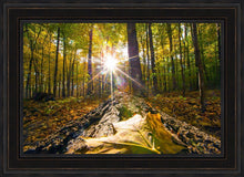 Load image into Gallery viewer, Plate 4 - Suddenly a Light Descended!
