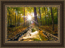 Load image into Gallery viewer, Plate 4 - Suddenly a Light Descended!

