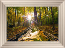 Load image into Gallery viewer, Plate 4 - Suddenly a Light Descended!
