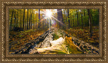 Load image into Gallery viewer, Plate 4 - Suddenly a Light Descended!
