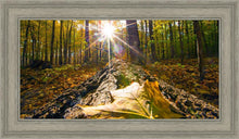 Load image into Gallery viewer, Plate 4 - Suddenly a Light Descended!
