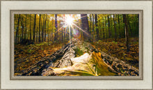 Load image into Gallery viewer, Plate 4 - Suddenly a Light Descended!
