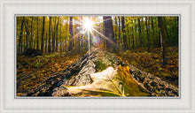 Load image into Gallery viewer, Plate 4 - Suddenly a Light Descended!
