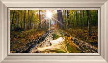 Load image into Gallery viewer, Plate 4 - Suddenly a Light Descended!
