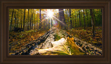 Load image into Gallery viewer, Plate 4 - Suddenly a Light Descended!

