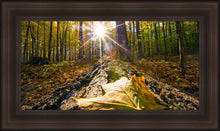 Load image into Gallery viewer, Plate 4 - Suddenly a Light Descended!
