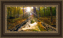Load image into Gallery viewer, Plate 4 - Suddenly a Light Descended!
