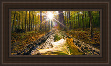 Load image into Gallery viewer, Plate 4 - Suddenly a Light Descended!
