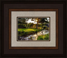 Load image into Gallery viewer, Plate 4 - Downham Spring Brook at Sunset
