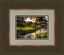 Load image into Gallery viewer, Plate 4 - Downham Spring Brook at Sunset
