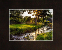 Load image into Gallery viewer, Plate 4 - Downham Spring Brook at Sunset
