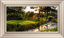 Load image into Gallery viewer, Plate 4 - Downham Spring Brook at Sunset
