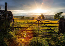 Load image into Gallery viewer, Plate 2 - Downham Gate After Storm
