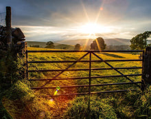 Load image into Gallery viewer, Plate 2 - Downham Gate After Storm
