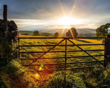 Load image into Gallery viewer, Plate 2 - Downham Gate After Storm
