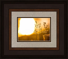 Load image into Gallery viewer, Plate 3 - Spring Brook Grasses
