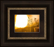 Load image into Gallery viewer, Plate 3 - Spring Brook Grasses

