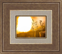 Load image into Gallery viewer, Plate 3 - Spring Brook Grasses
