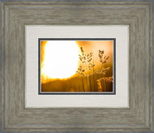 Load image into Gallery viewer, Plate 3 - Spring Brook Grasses
