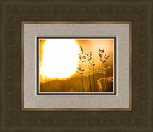 Load image into Gallery viewer, Plate 3 - Spring Brook Grasses

