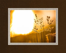 Load image into Gallery viewer, Plate 3 - Spring Brook Grasses

