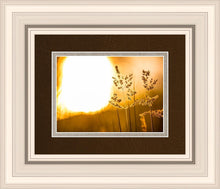 Load image into Gallery viewer, Plate 3 - Spring Brook Grasses
