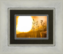Load image into Gallery viewer, Plate 3 - Spring Brook Grasses
