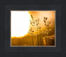 Load image into Gallery viewer, Plate 3 - Spring Brook Grasses
