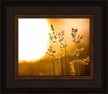 Load image into Gallery viewer, Plate 3 - Spring Brook Grasses
