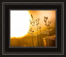 Load image into Gallery viewer, Plate 3 - Spring Brook Grasses
