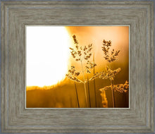 Load image into Gallery viewer, Plate 3 - Spring Brook Grasses
