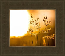 Load image into Gallery viewer, Plate 3 - Spring Brook Grasses
