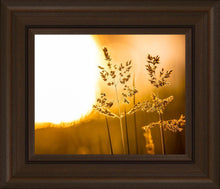Load image into Gallery viewer, Plate 3 - Spring Brook Grasses
