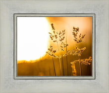 Load image into Gallery viewer, Plate 3 - Spring Brook Grasses
