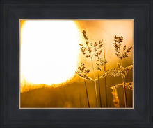 Load image into Gallery viewer, Plate 3 - Spring Brook Grasses
