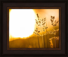 Load image into Gallery viewer, Plate 3 - Spring Brook Grasses
