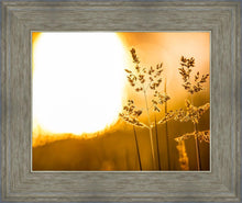 Load image into Gallery viewer, Plate 3 - Spring Brook Grasses
