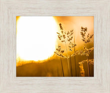 Load image into Gallery viewer, Plate 3 - Spring Brook Grasses
