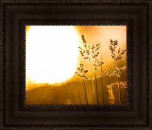 Load image into Gallery viewer, Plate 3 - Spring Brook Grasses

