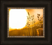 Load image into Gallery viewer, Plate 3 - Spring Brook Grasses
