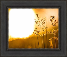 Load image into Gallery viewer, Plate 3 - Spring Brook Grasses
