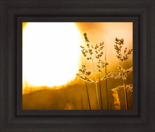 Load image into Gallery viewer, Plate 3 - Spring Brook Grasses
