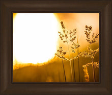 Load image into Gallery viewer, Plate 3 - Spring Brook Grasses
