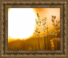 Load image into Gallery viewer, Plate 3 - Spring Brook Grasses
