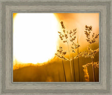 Load image into Gallery viewer, Plate 3 - Spring Brook Grasses
