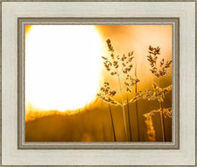 Load image into Gallery viewer, Plate 3 - Spring Brook Grasses
