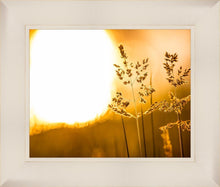 Load image into Gallery viewer, Plate 3 - Spring Brook Grasses
