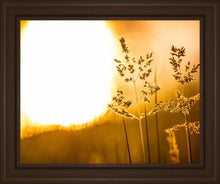 Load image into Gallery viewer, Plate 3 - Spring Brook Grasses
