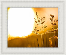 Load image into Gallery viewer, Plate 3 - Spring Brook Grasses
